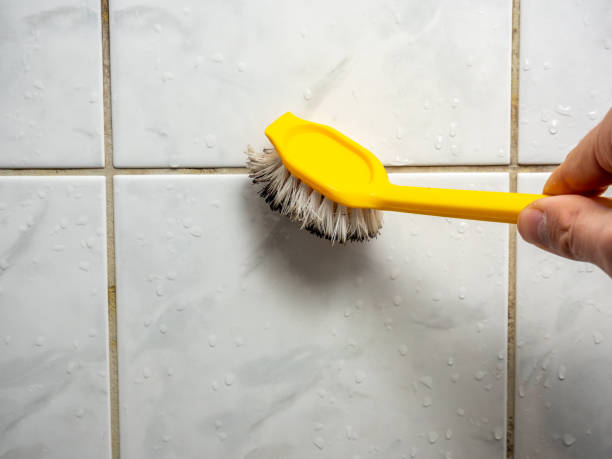Best Mold Remediation Services  in Newnan, GA